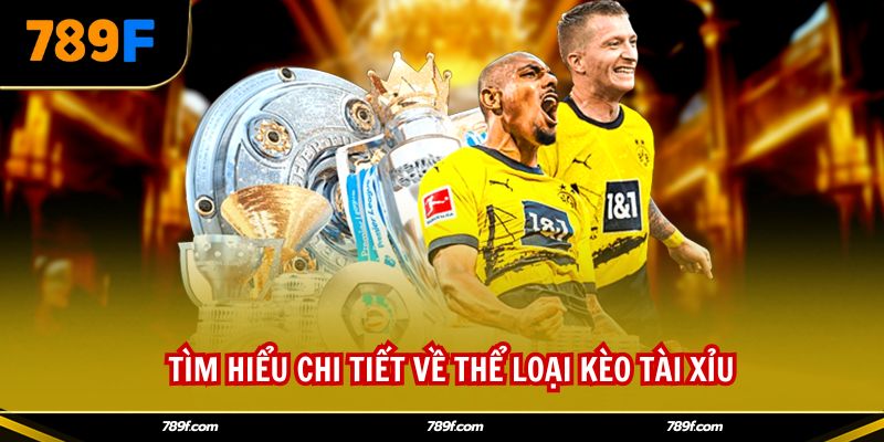 Tìm hiểu chi tiết về thể loại kèo tài xỉu